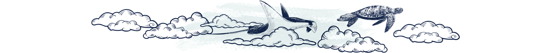 agencia de mercadeo bogota