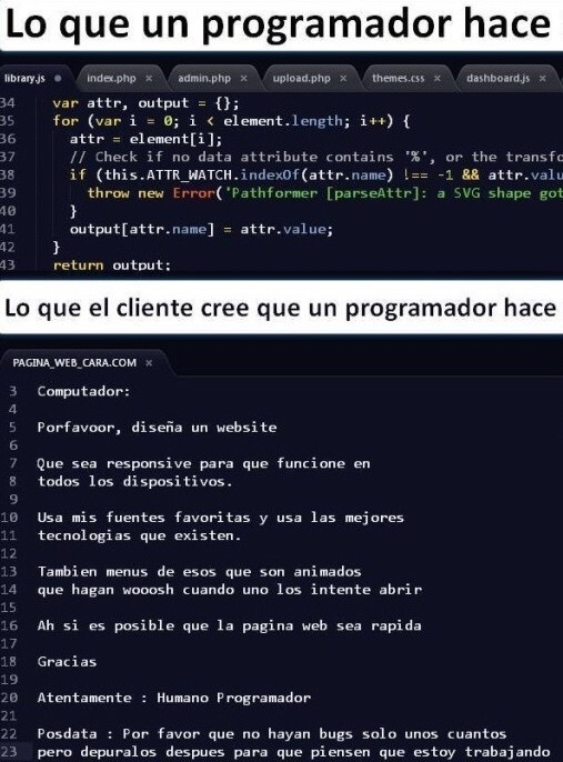 Lenguaje programador