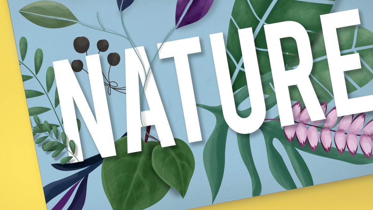 Green marketing y su relación con Green IT, blog de mercadeo, agencia publicidad, agencia marketing, marketing digital, agencia publicidad bogotá blog de mercadeo, agencia publicidad, agencia marketing, marketing digital, agencia publicidad bogotá